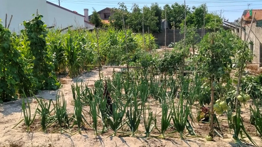 Terreno para Venda em Gafanha do Carmo