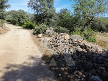 Terreno para Venda em Querença, Tôr e Benafim