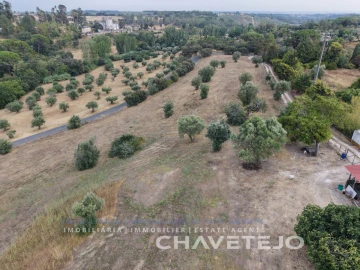 Quinta T1 para Venda em Torres Novas (Santa Maria, Salvador e Santiago)