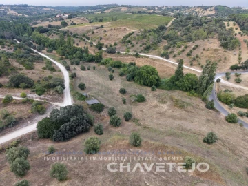 Quinta T1 para Venda em Torres Novas (Santa Maria, Salvador e Santiago)