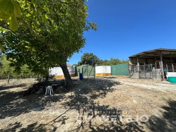 Quinta T1 para Venda em Torres Novas (Santa Maria, Salvador e Santiago)