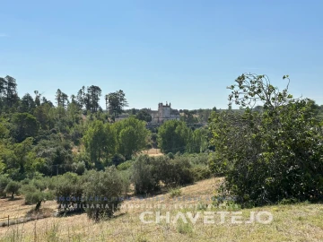 Quinta T1 para Venda em Torres Novas (Santa Maria, Salvador e Santiago)