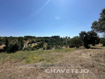 Quinta T1 para Venda em Torres Novas (Santa Maria, Salvador e Santiago)