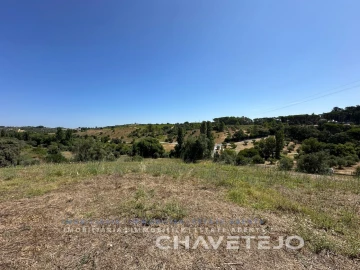 Quinta T1 para Venda em Torres Novas (Santa Maria, Salvador e Santiago)
