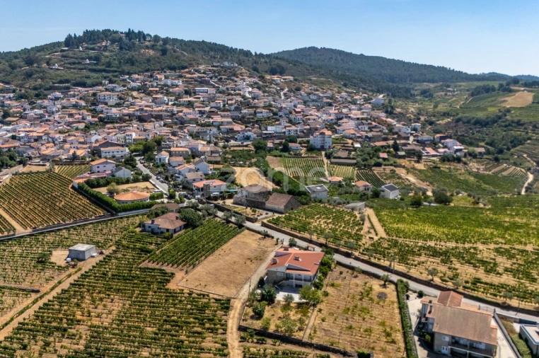 Moradia T4 para Venda em Alijo Foto 48