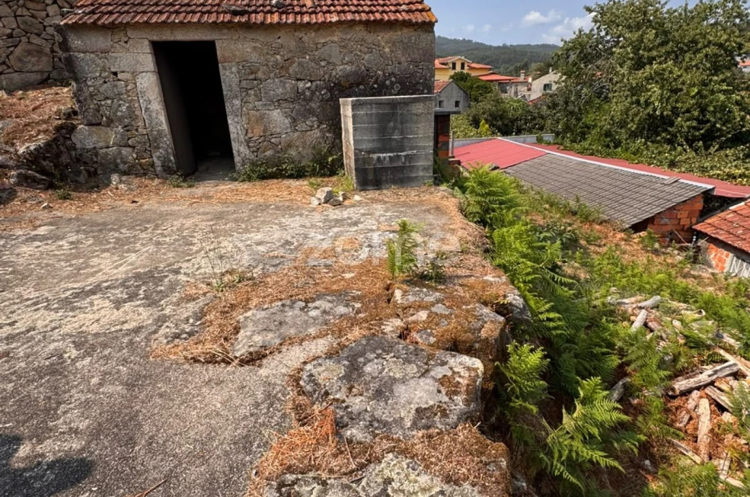 Terreno para Venda em Oliveira de Frades, Souto de Lafões e Sejães Foto 9