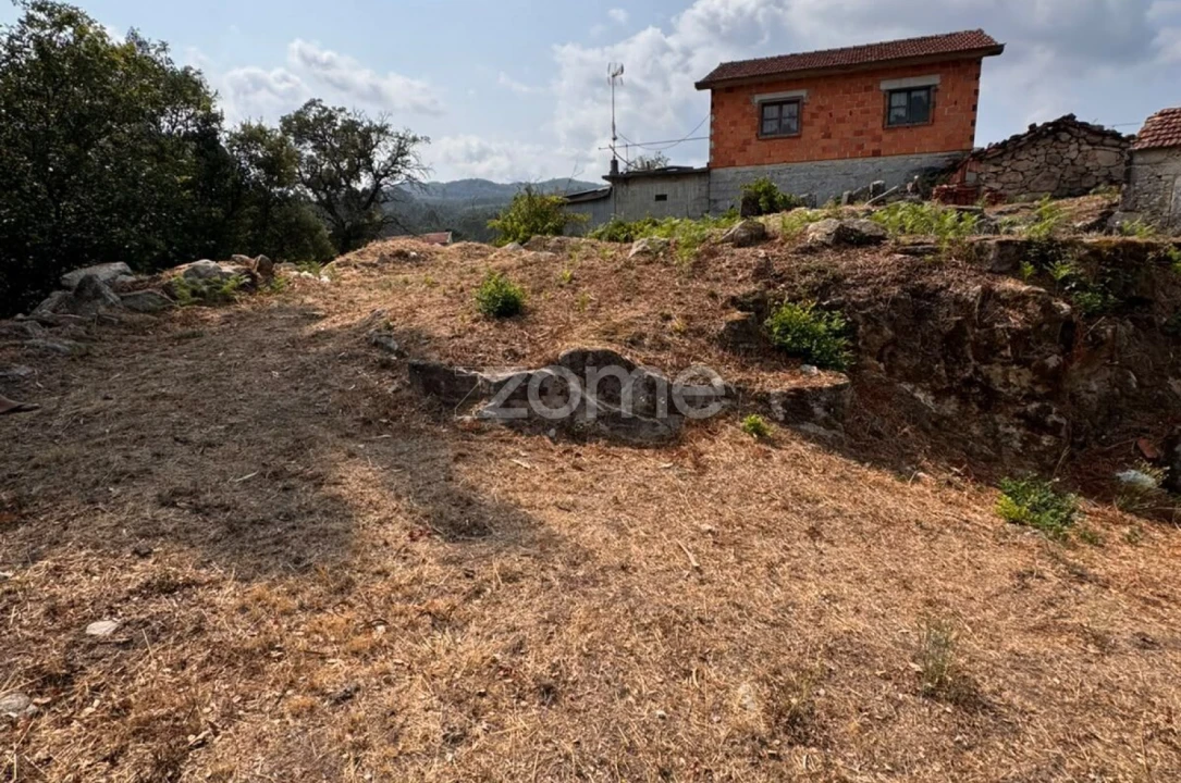 Terreno para Venda em Oliveira de Frades, Souto de Lafões e Sejães Foto 2