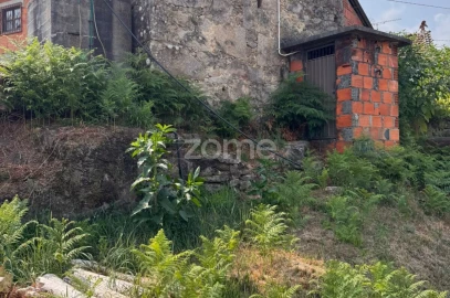 Terreno para Venda em Oliveira de Frades, Souto de Lafões e Sejães