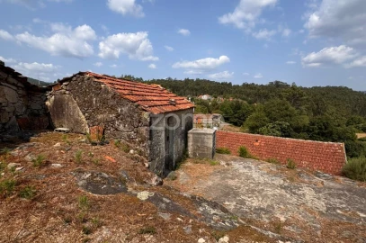 Terreno para Venda em Oliveira de Frades, Souto de Lafões e Sejães