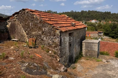 Terreno para Venda em Oliveira de Frades, Souto de Lafões e Sejães