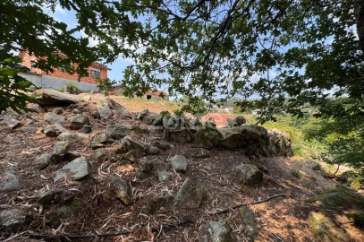 Terreno para Venda em Oliveira de Frades, Souto de Lafões e Sejães