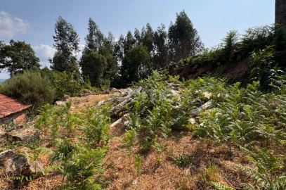 Terreno para Venda em Oliveira de Frades, Souto de Lafões e Sejães