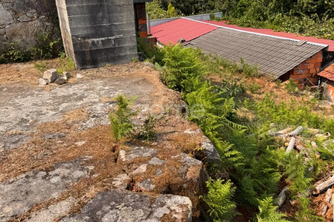 Terreno para Venda em Oliveira de Frades, Souto de Lafões e Sejães Foto 12