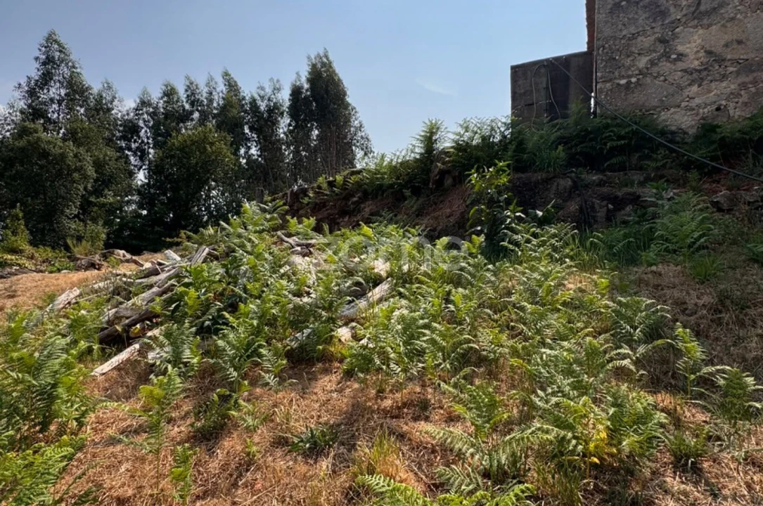 Terreno para Venda em Oliveira de Frades, Souto de Lafões e Sejães Foto 13
