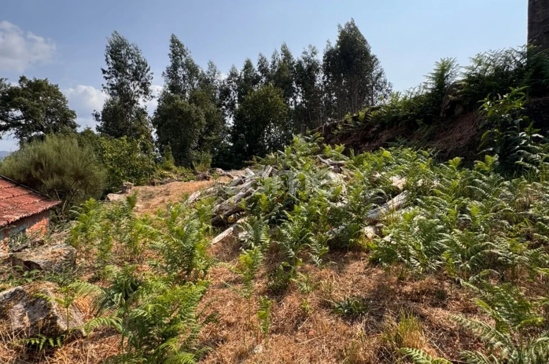 Terreno para Venda em Oliveira de Frades, Souto de Lafões e Sejães Foto 3