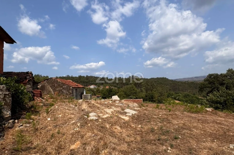 Terreno para Venda em Oliveira de Frades, Souto de Lafões e Sejães Foto 7