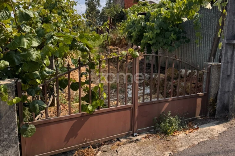 Terreno para Venda em Oliveira de Frades, Souto de Lafões e Sejães Foto 19