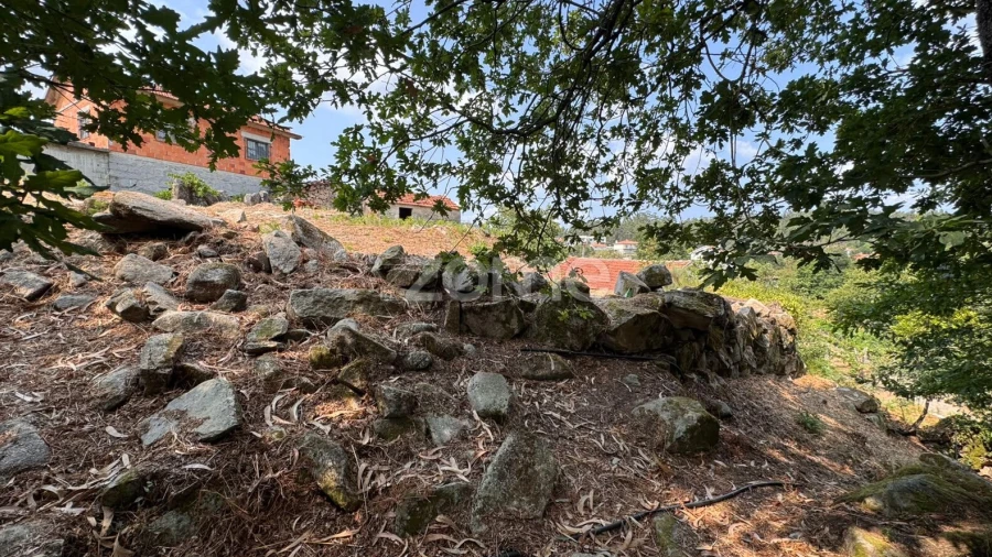 Terreno para Venda em Oliveira de Frades, Souto de Lafões e Sejães