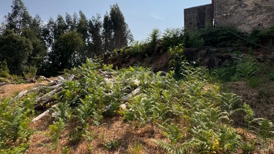 Terreno para Venda em Oliveira de Frades, Souto de Lafões e Sejães
