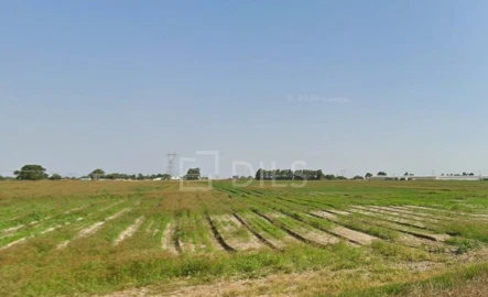 Terreno para Venda em Moita