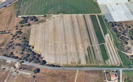 Terreno para Venda em Moita