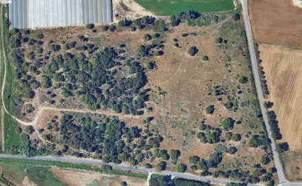 Terreno para Venda em Moita