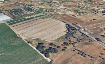 Terreno para Venda em Moita