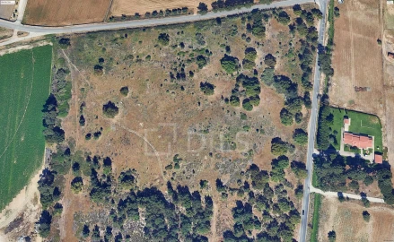 Terreno para Venda em Moita