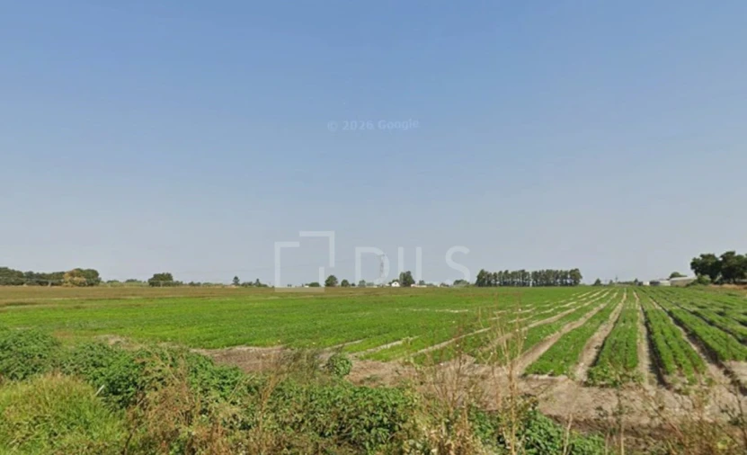 Terreno para Venda em Moita Foto 3