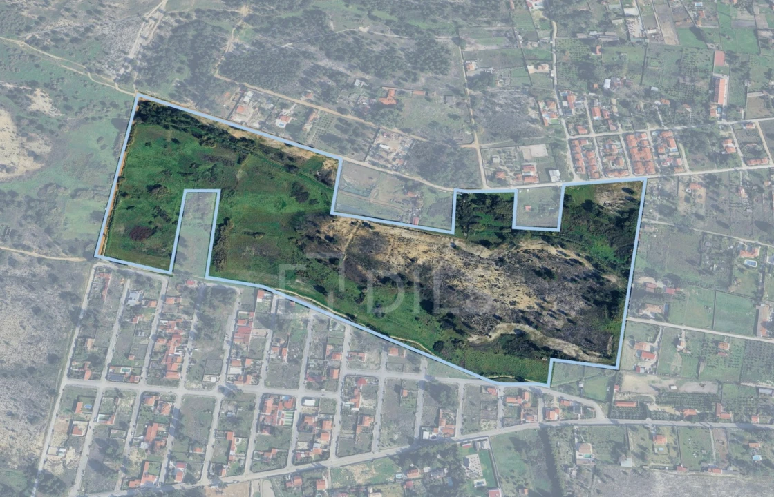 Terreno para Venda em Azeitão (São Lourenço e São Simão) Foto 1