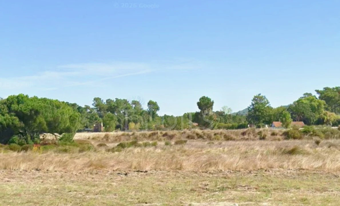 Terreno para Venda em Azeitão (São Lourenço e São Simão) Foto 2