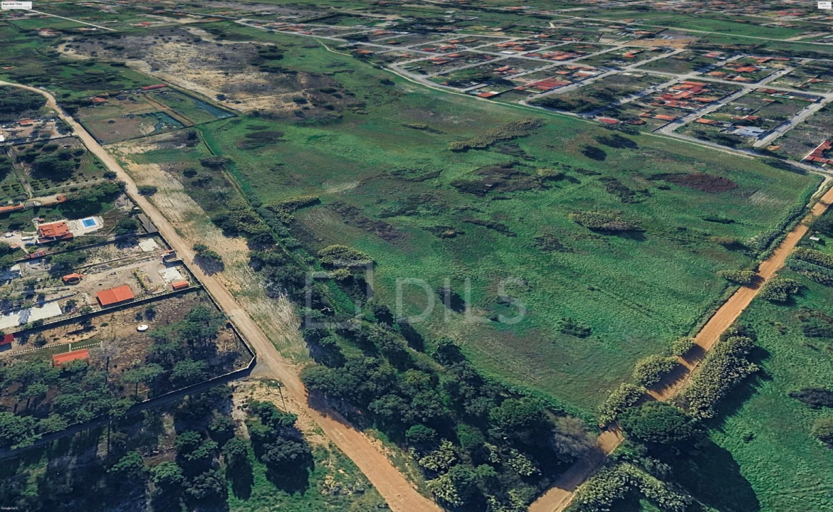 Terreno para Venda em Azeitão (São Lourenço e São Simão) Foto 9