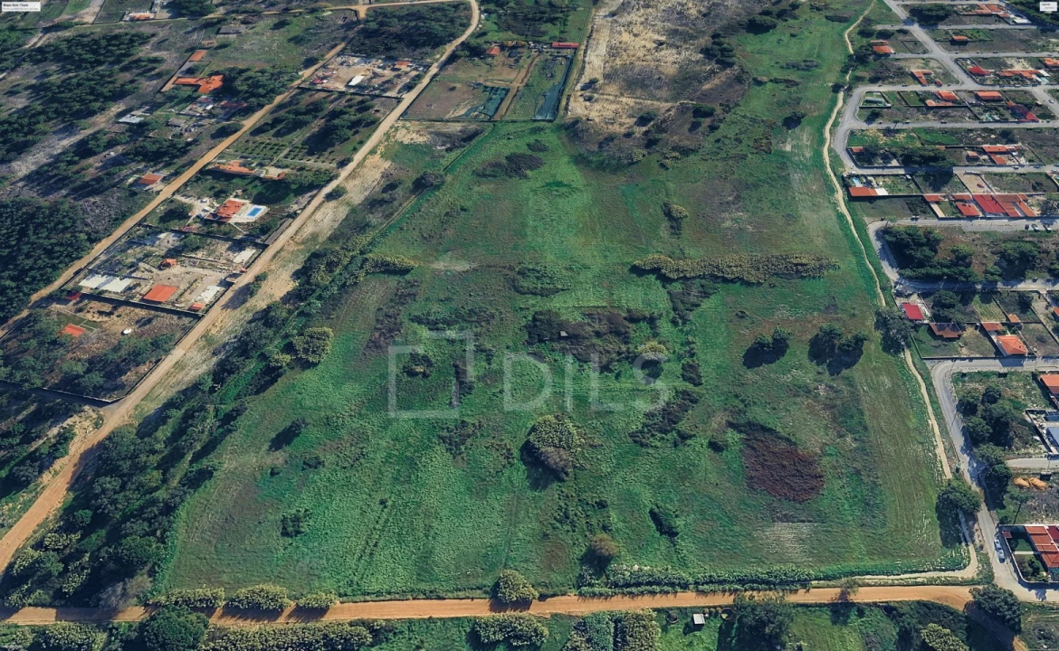 Terreno para Venda em Azeitão (São Lourenço e São Simão) Foto 13