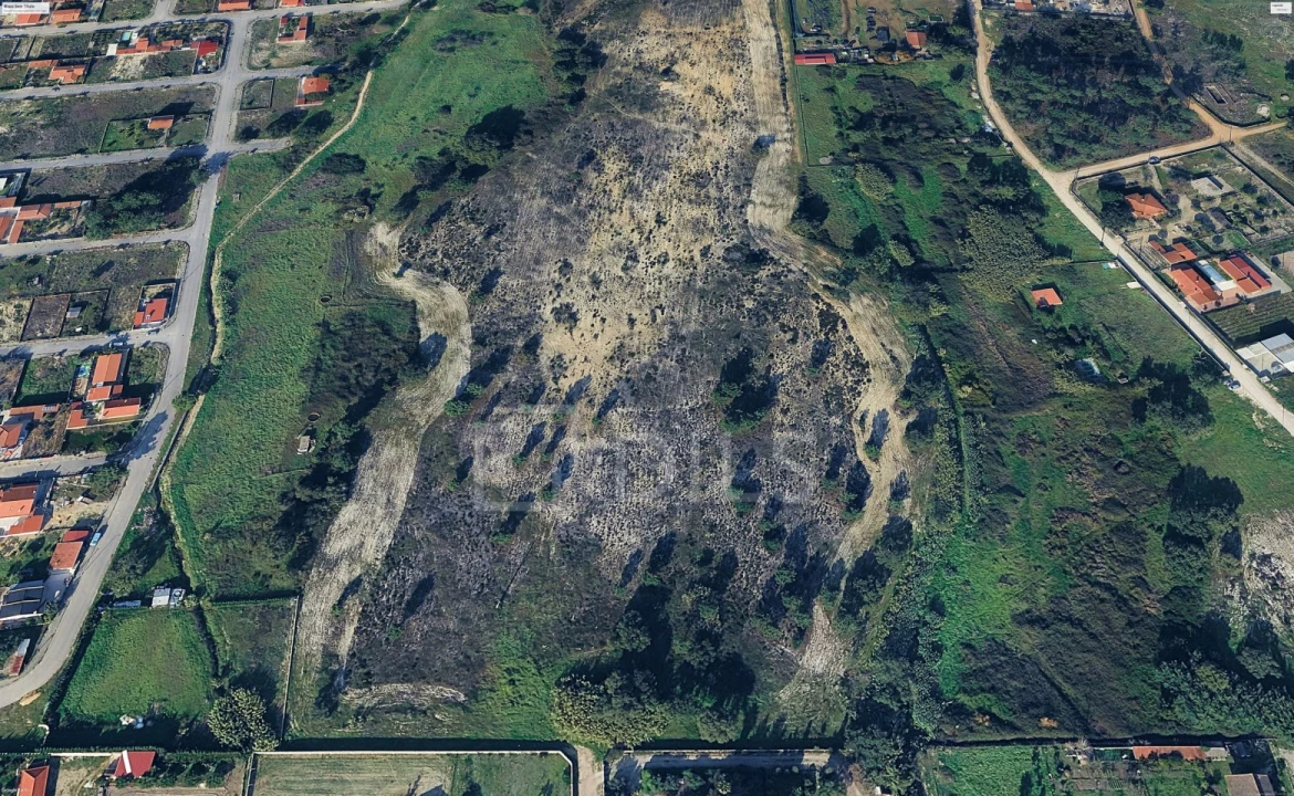 Terreno para Venda em Azeitão (São Lourenço e São Simão) Foto 14