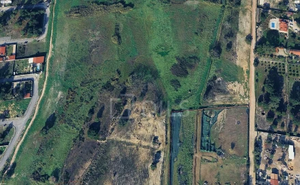 Terreno para Venda em Azeitão (São Lourenço e São Simão)