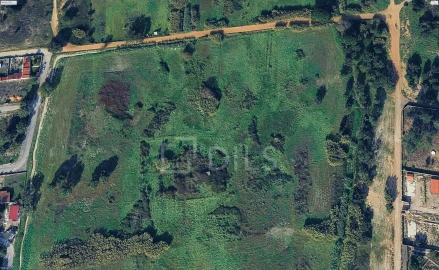 Terreno para Venda em Azeitão (São Lourenço e São Simão)
