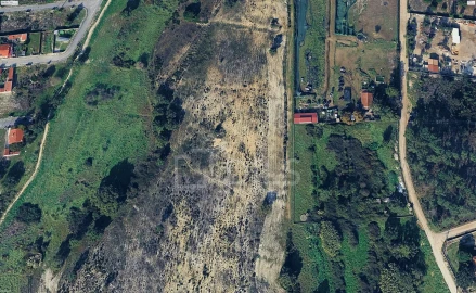 Terreno para Venda em Azeitão (São Lourenço e São Simão)