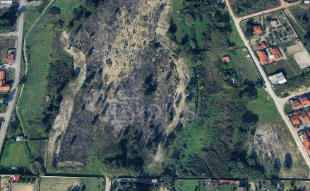 Terreno para Venda em Azeitão (São Lourenço e São Simão)