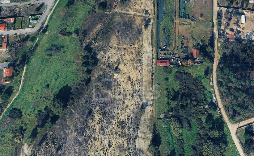 Terreno para Venda em Azeitão (São Lourenço e São Simão) Foto 7