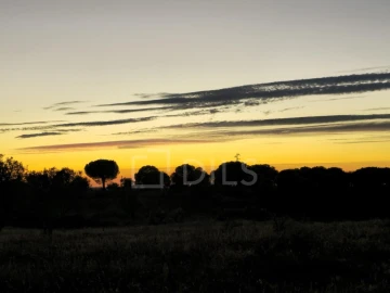 Moradia T4 para Venda em Mora