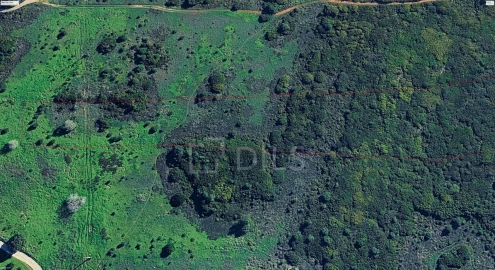 Terreno para Venda em Sesimbra (Castelo)
