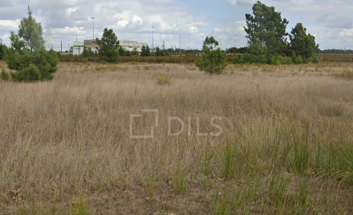 Terreno para Venda em Poceirão e Marateca Foto 3