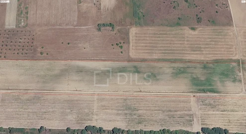 Terreno para Venda em Poceirão e Marateca