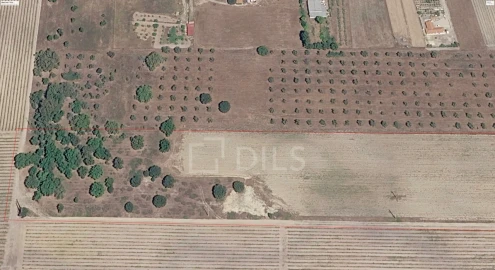Terreno para Venda em Poceirão e Marateca