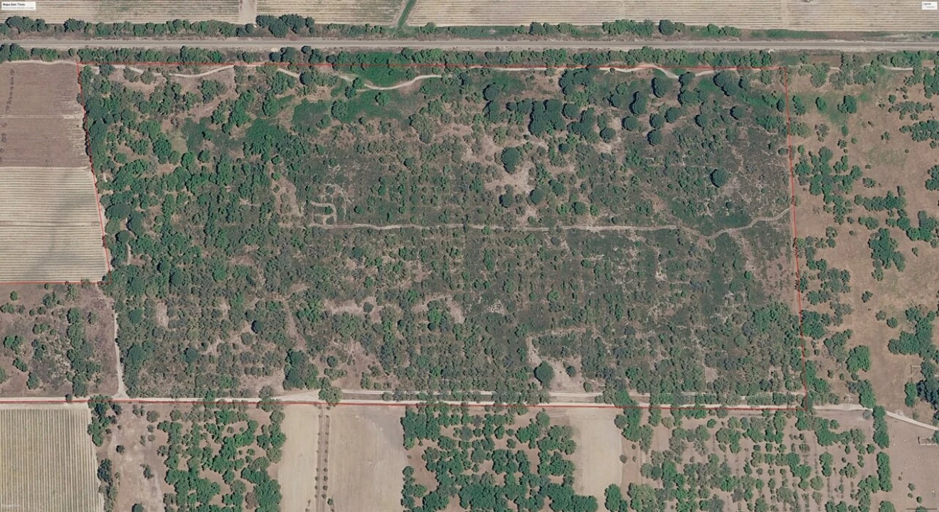 Terreno para Venda em Poceirão e Marateca Foto 8