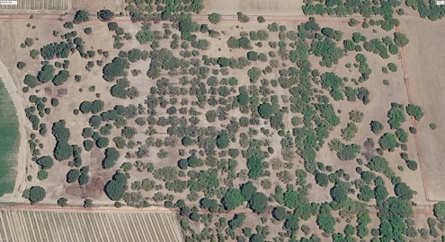 Terreno para Venda em Poceirão e Marateca