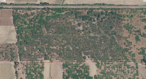 Terreno para Venda em Poceirão e Marateca
