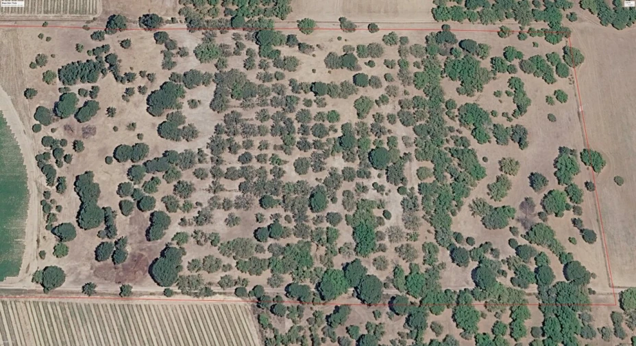 Terreno para Venda em Poceirão e Marateca Foto 5