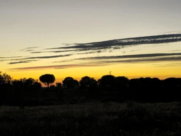 Moradia T4 para Venda em Pavia