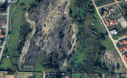 Terreno para Venda em Azeitão (São Lourenço e São Simão)